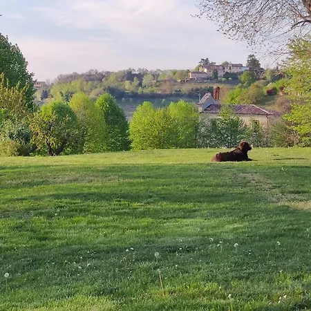 Pieve 4* Монкальво