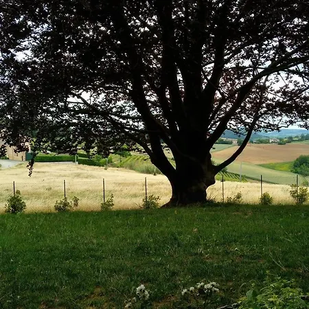 Pieve 3* Moncalvo